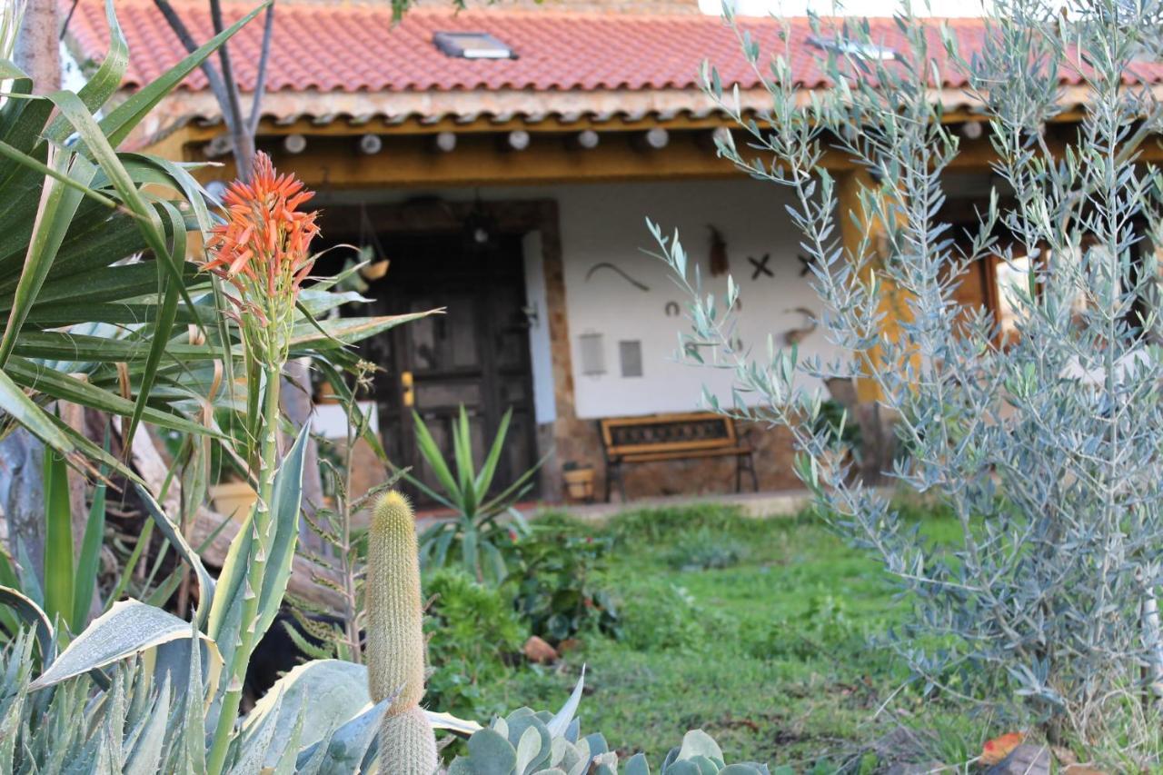 Casa Rural La Coscoja Mérida Exteriér fotografie